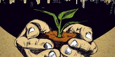 Unas manos protegen un pedazo de tierra con un brote.